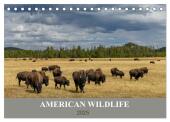 American Wildlife (Tischkalender 2025 DIN A5 quer), CALVENDO Monatskalender