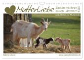 Mutterliebe - Ziegen mit ihren süßen Lämmern (Wandkalender 2025 DIN A4 quer), CALVENDO Monatskalender