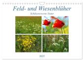 Feld- und Wiesenblüher Schützenswerte Natur (Wandkalender 2025 DIN A4 quer), CALVENDO Monatskalender