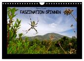 Faszination Spinnen (Wandkalender 2025 DIN A4 quer), CALVENDO Monatskalender