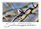 Gefiederte Gartengäste, Schwanzmeisen (Wandkalender 2025 DIN A4 quer), CALVENDO Monatskalender