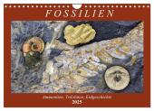 Fossilien - Ammoniten, Trilobiten, Erdgeschichte (Wandkalender 2025 DIN A4 quer), CALVENDO Monatskalender