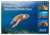 Begegnung mit Meeresschildkröten (Tischkalender 2025 DIN A5 quer), CALVENDO Monatskalender