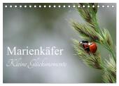 Marienkäfer - kleine Glücksmomente (Tischkalender 2025 DIN A5 quer), CALVENDO Monatskalender