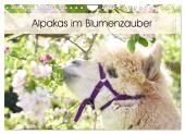Alpakas im Blumenzauber (Wandkalender 2025 DIN A4 quer), CALVENDO Monatskalender