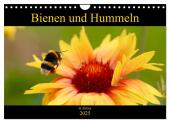 Bienen und Hummeln in Aktion (Wandkalender 2025 DIN A4 quer), CALVENDO Monatskalender