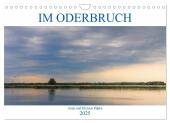 Im Oderbruch (Wandkalender 2025 DIN A4 quer), CALVENDO Monatskalender