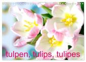 Tulpen, Tulips, Tulipes (Wandkalender 2025 DIN A4 quer), CALVENDO Monatskalender