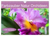 Farbzauber Natur Orchideen - CH Version (Wandkalender 2025 DIN A4 quer), CALVENDO Monatskalender