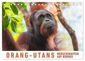 Orang-Utans Menschenaffen auf Borneo (Tischkalender 2025 DIN A5 quer), CALVENDO Monatskalender