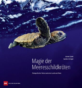 Magie der Meeresschildkröten