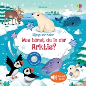 Klänge der Natur: Was hörst du in der Arktis?