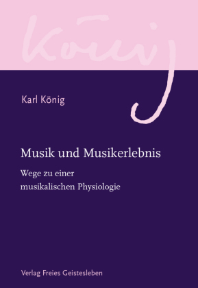 Musik und Musikerlebnis 