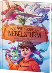 Drachenschule Nebelsturm (Band 1) - Im Sturzflug ins Abenteuer Cover