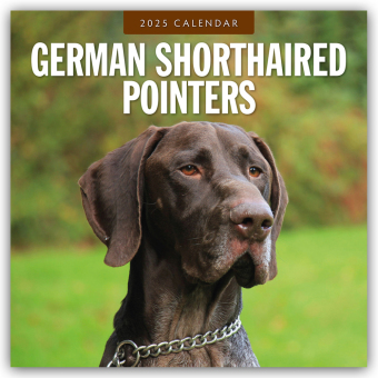 German Shorthaired Pointers - Deutscher Kurzhaar - Deutscher Kurzhaariger Vorstehhund 2025 - 16-Monatskalender