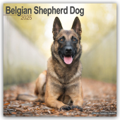 Belgian Shepherd Dog - Belgischer Schäferhund 2025 - 16-Monatskalender