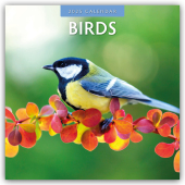 Birds - Vögel 2025 - 16-Monatskalender