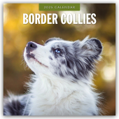 Border Collies - Border Collie 2025 - 16-Monatskalender