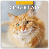 Ginger Cats - Rote Katzen - Gingerkatzen 2025 - 16-Monatskalender