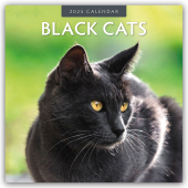 Black Cats - Schwarze Katzen 2025 - 16-Monatskalender