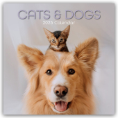 Cats and Dogs - Katzen und Hunde 2025 - 16-Monatskalender