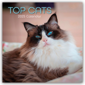 Top Cats - Top-Katzen 2025 - 16-Monatskalender