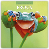 Frogs - Frosch - Frösche 2025 - 16-Monatskalender