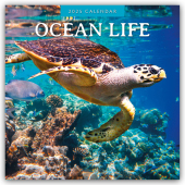 Ocean Life - Leben im Ozean 2025 - 16-Monatskalender