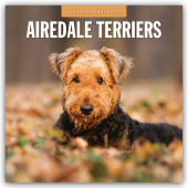 Airdale Terriers - Airdale Terrier 2025 - 16-Monatskalender