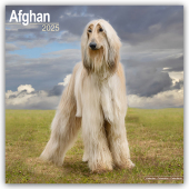 Afghan - Afghanen 2025 - 16-Monatskalender