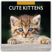 Cute Kittens - Niedliche Kätzchen 2025 - 16-Monatskalender