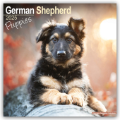 German Shepherd Puppies - Deutsche Schäferhund Welpen 2025 - 16-Monatskalender