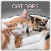 Cat Naps - Träumende Katzen 2025 - 16-Monatskalender