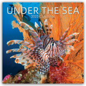 Under the Sea - Tropische Fische 2025 - 16-Monatskalender