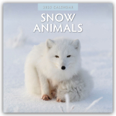 Snow Animals - Arktische Tiere 2025 - 16-Monatskalender