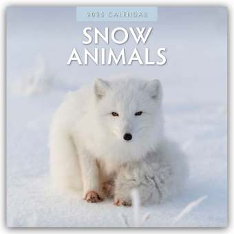 Snow Animals - Arktische Tiere 2025 - 16-Monatskalender