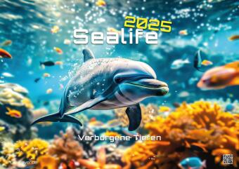 Sealife - verborgene Tiefen - 2025 - Kalender DIN A2