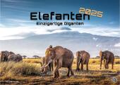 Elefanten - einzigartige Giganten - 2025 - Kalender DIN A3