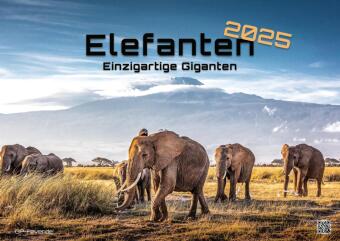 Elefanten - einzigartige Giganten - 2025 - Kalender DIN A2