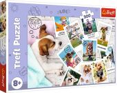 Puzzle 300 - Hunde Urlaubsfotos