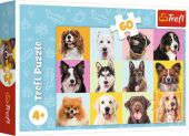 Puzzle 60 - Hunde