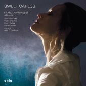 Sweet Caress (feat.John Scofield,Peter Erskine), 1 Schallplatte