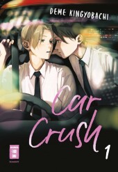 Car Crush 01