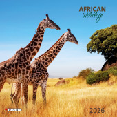African Wildlife 2026