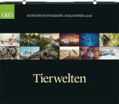 GEO - GEO Edition: Tierwelten 2026 - Wandkalender 70x60 cm, Tier-Poster-Kalender mit Wildlife-Fotografie, 12 Monatsblät