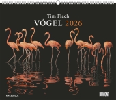 DUMONT - Tim Flach: Vögel 2026 - Posterkalender 60 x 50 cm - Faszinierende Vogel-Porträts für Tierfreunde & Fotografie-L