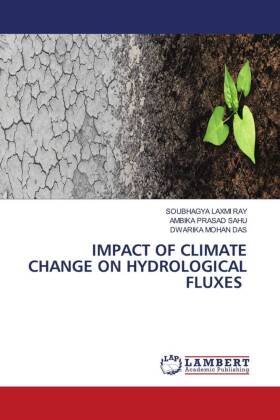 IMPACT OF CLIMATE CHANGE ON HYDROLOGICAL FLUXES