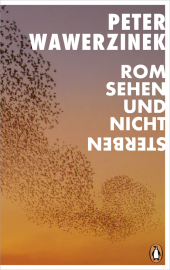 Rom sehen - und nicht sterben