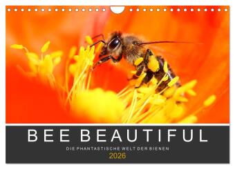 Bee Beautiful - Die phantastische Welt der Bienen (Wandkalender 2026 DIN A4 quer), CALVENDO Monatskalender