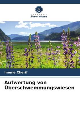 Aufwertung von Überschwemmungswiesen